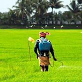 res_pics/Sanil George/2.jpg